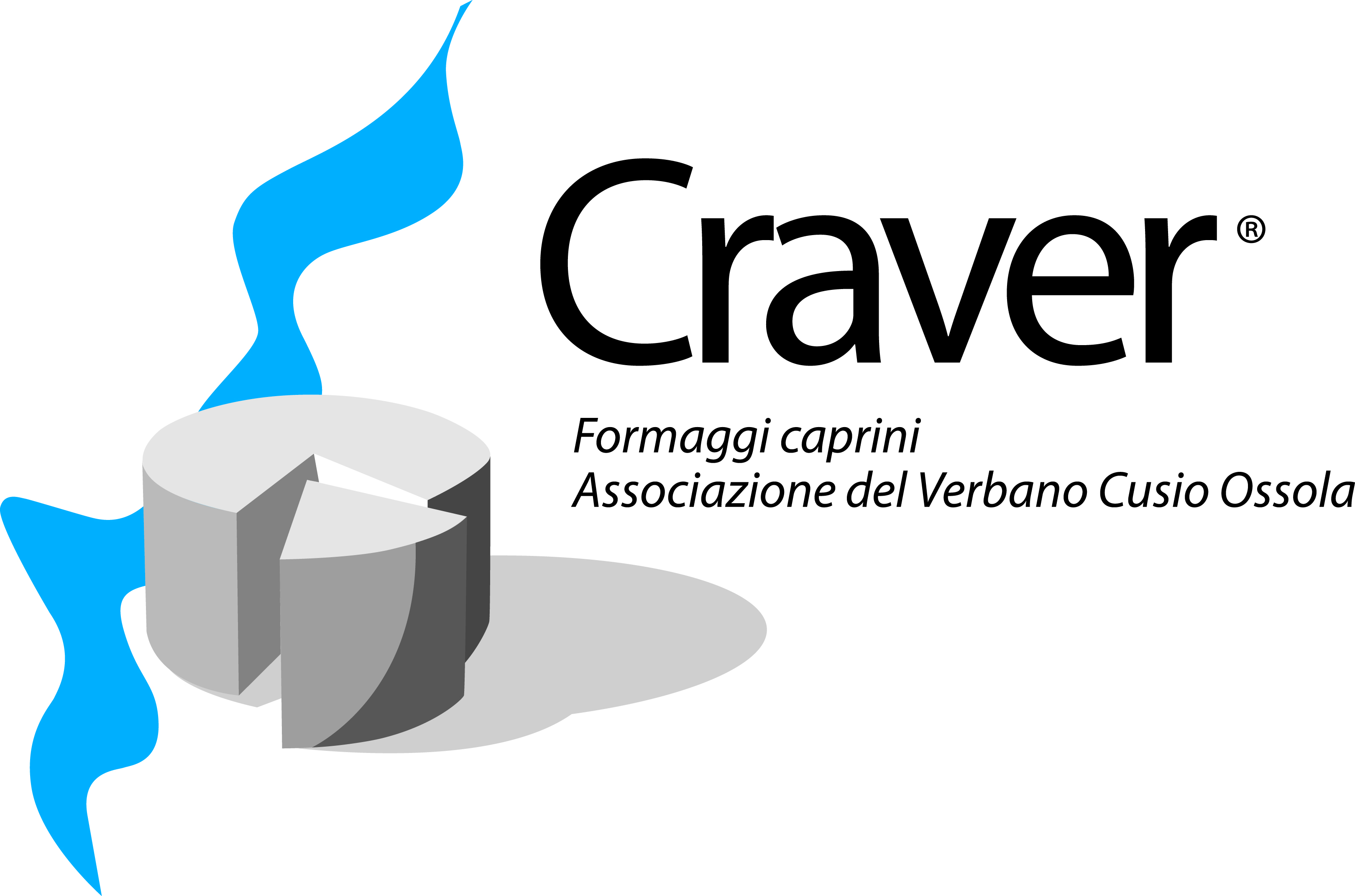 Logo consorzio Craver