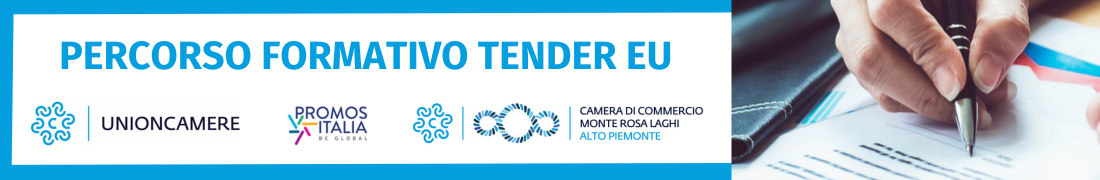 Le opportunità delle gare d'appalto europee Le opportunità delle gare d'appalto europee