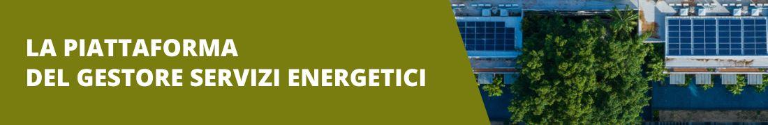 La piattaforma del Gestore Servizi Energetici La piattaforma del Gestore Servizi Energetici
