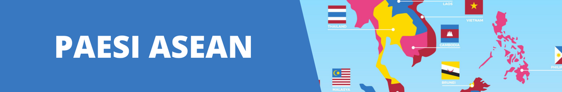 Webinar Paesi ASEAN