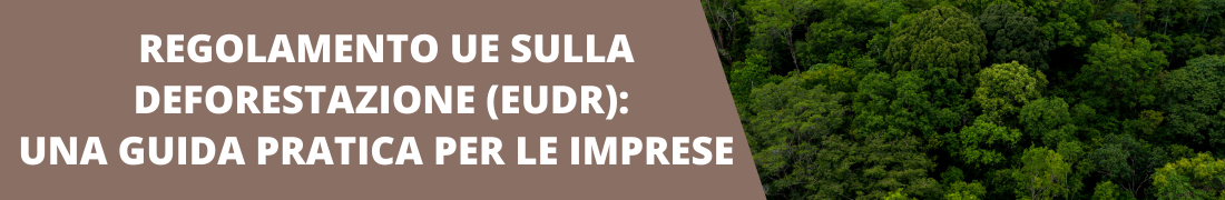 Regolamento UE sulla Deforestazione (EUDR): una guida pratica per le imprese  