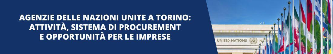 Agenzie delle Nazioni Unite a Torino: attività, sistema di procurement e opportunità per le imprese