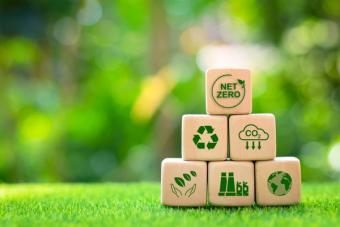 Bando Transizione Ecologica Bando Transizione Ecologica: domande di contributo dal 28 novembre
